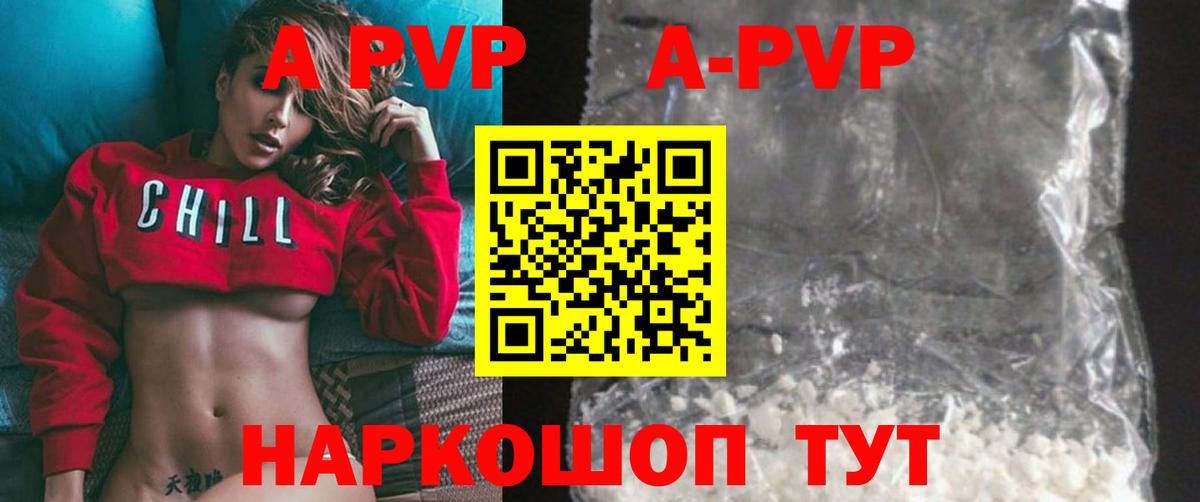 Альфа ПВП СК КРИС Петрозаводск